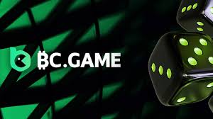 Unleashing Fun and Profits A Comprehensive Guide to bc game