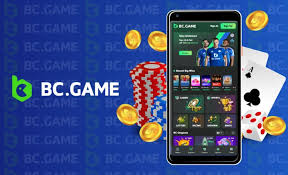 BC Game Withdrawal Instructions 4